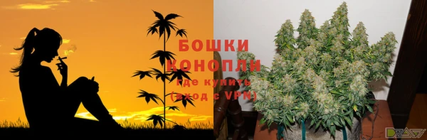 прущая мука Верея